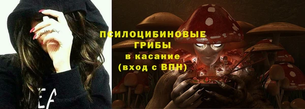 дурь Абинск